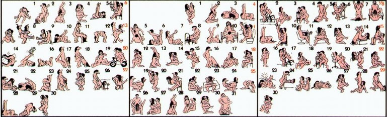 72种45分钟扦插方式嘉善图片精选_2