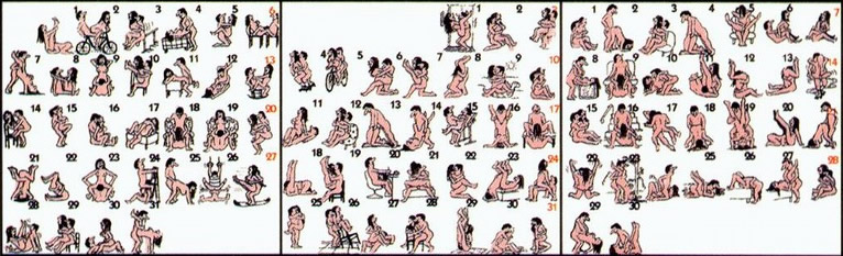 72种45分钟扦插方式嘉善图片精选_3