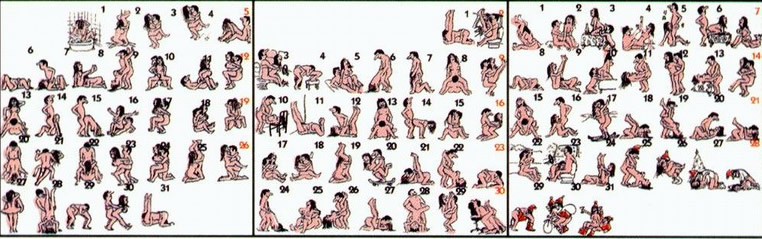 72种45分钟扦插方式嘉善图片精选_4