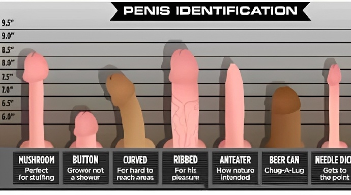 男生丁丁的类型图片大全_1